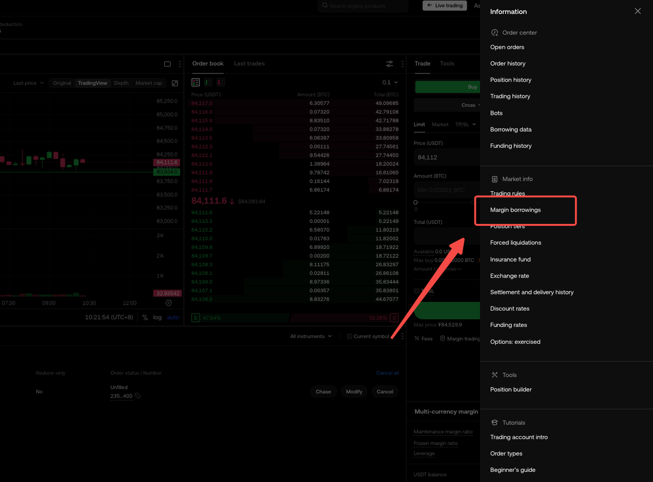 MarketBorrowingInfo2 EN