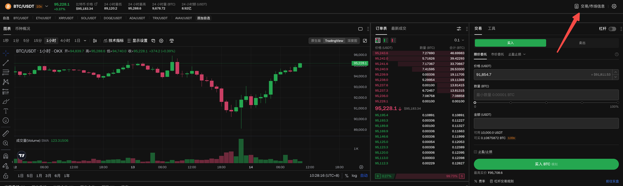 MarketBorrowingInfo2 EN