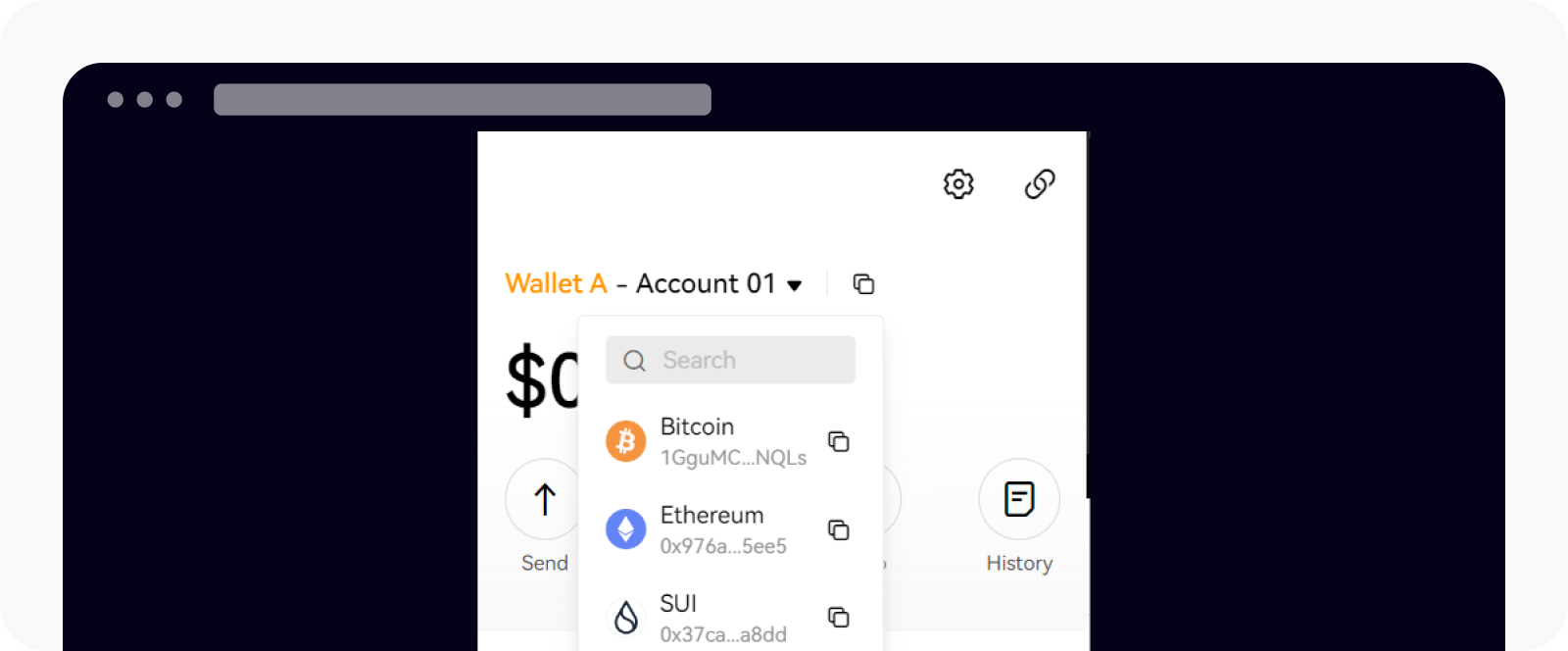 Wallet extension copy address