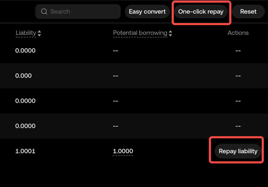 Repay2 EN