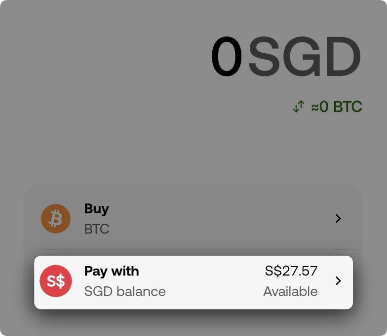 SG - Google Pay 1