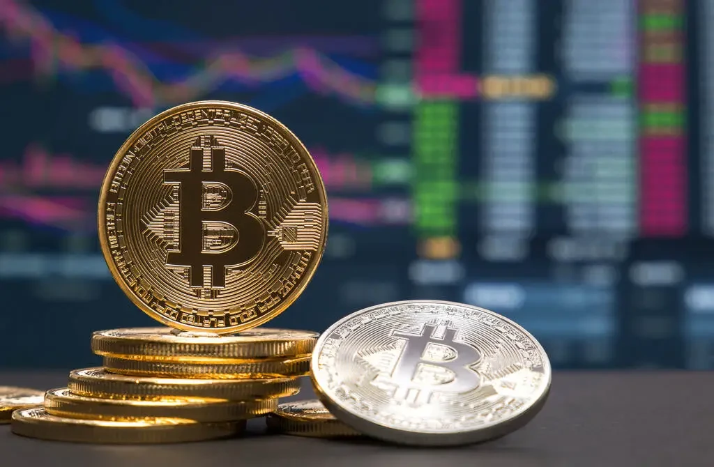 qual foi a maior alta do bitcoin 