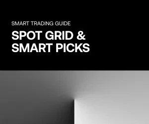 BLOG THUMBNAIL SPOT GRID SMAR TPICK 300X250